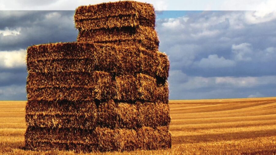 stock image of square hay bales in a field