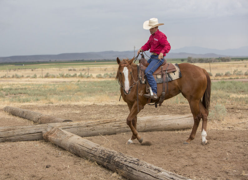 Brady Weaver training barrel prospect