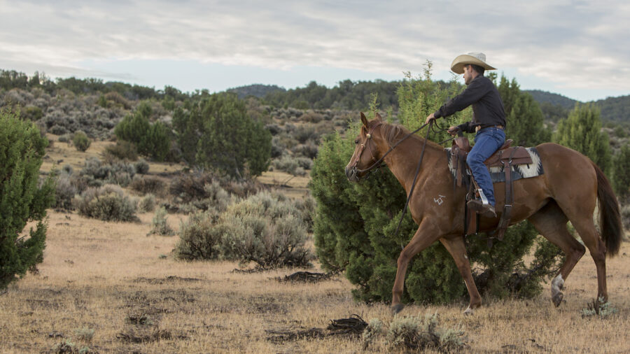 Brady Weaver riding horses outside