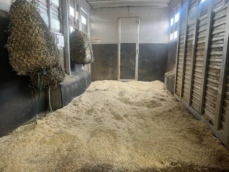 wood shavings in trailer