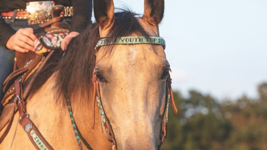 A barrel racer's guide tack and equipment issue