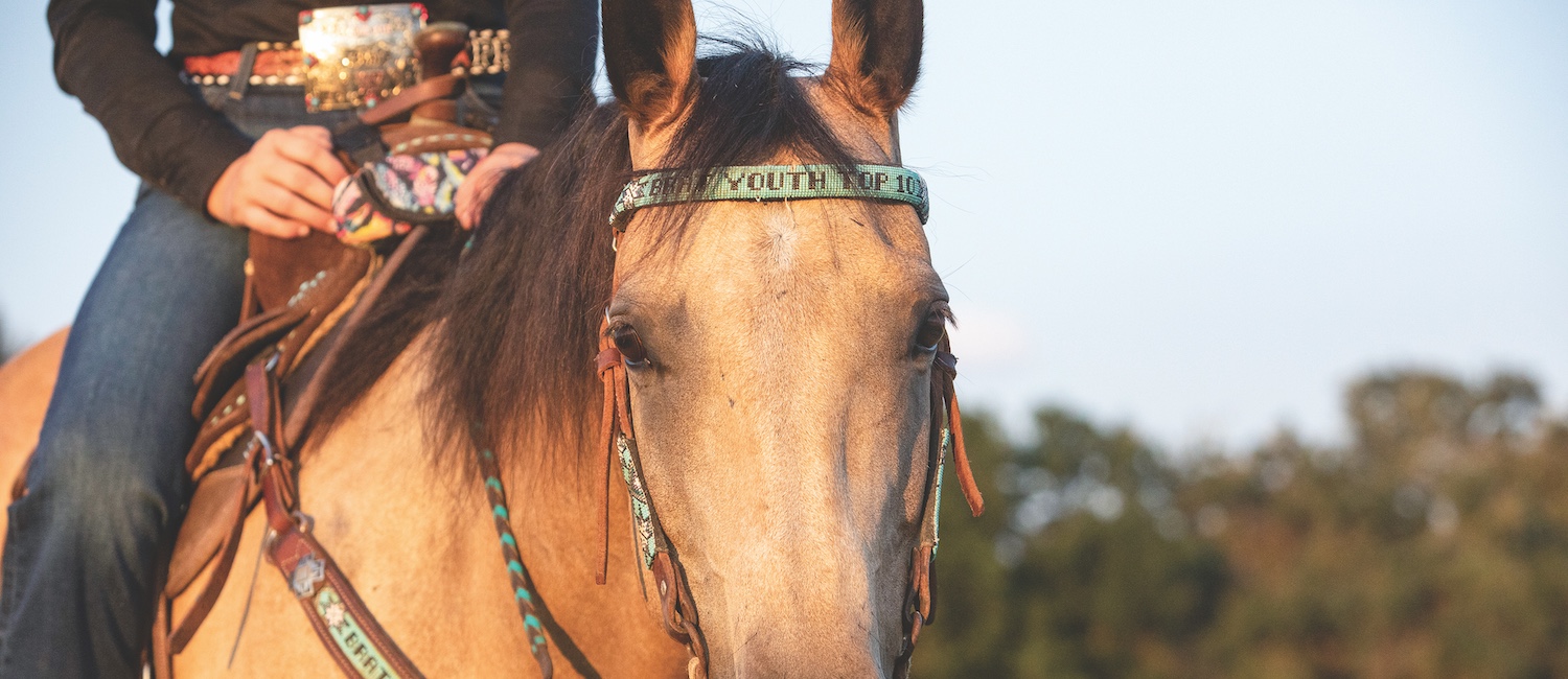 A barrel racer's guide tack and equipment issue
