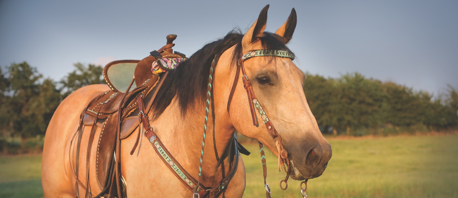 May 2025 Tack and Equipment Guide