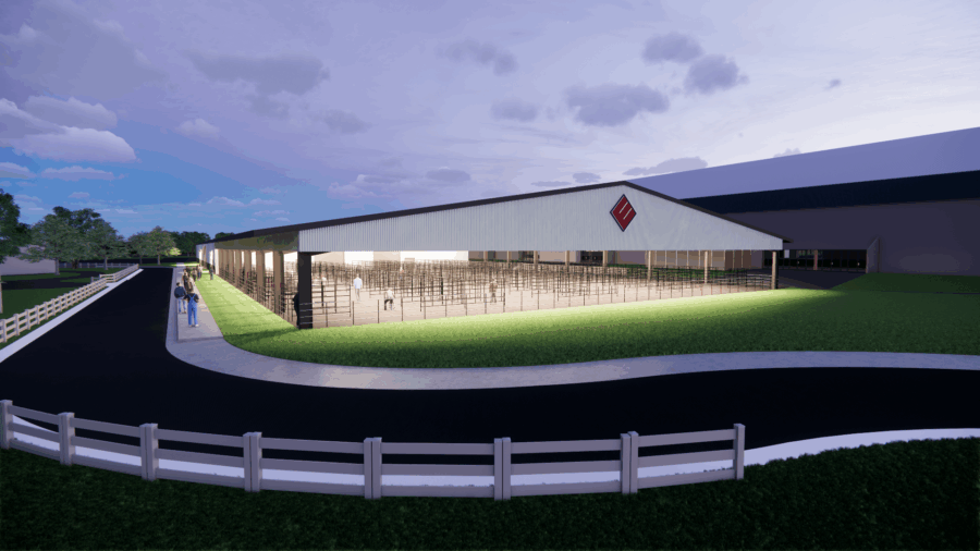 3D rendering of Lazy E Arena stalls