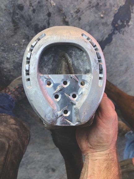 horse shoe heel plate