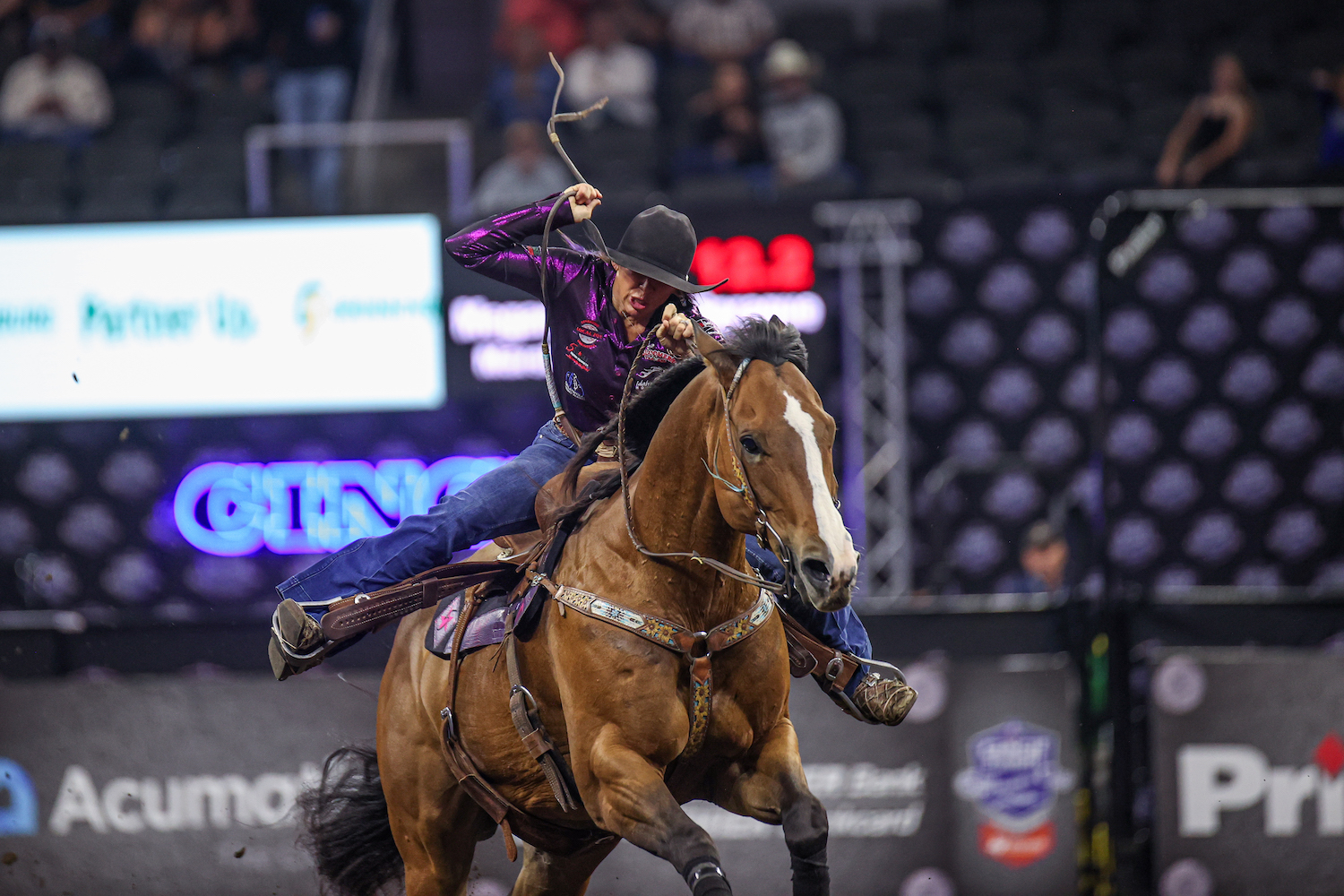 barrel horse running home