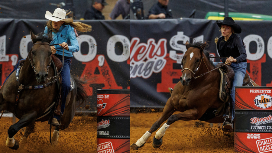 breeders challenge round two