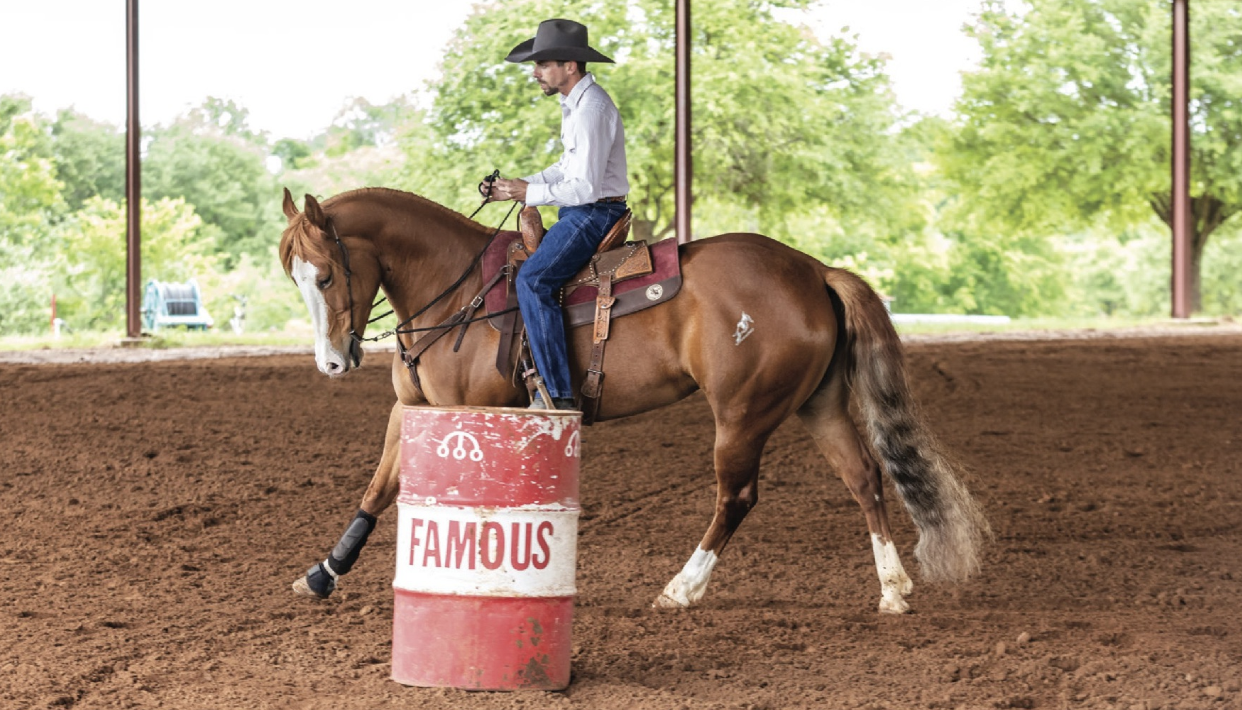 Guide your horse around the barrel at the trot or walk, circling a couple of times. Don't let the horse turn unless it slows down.
