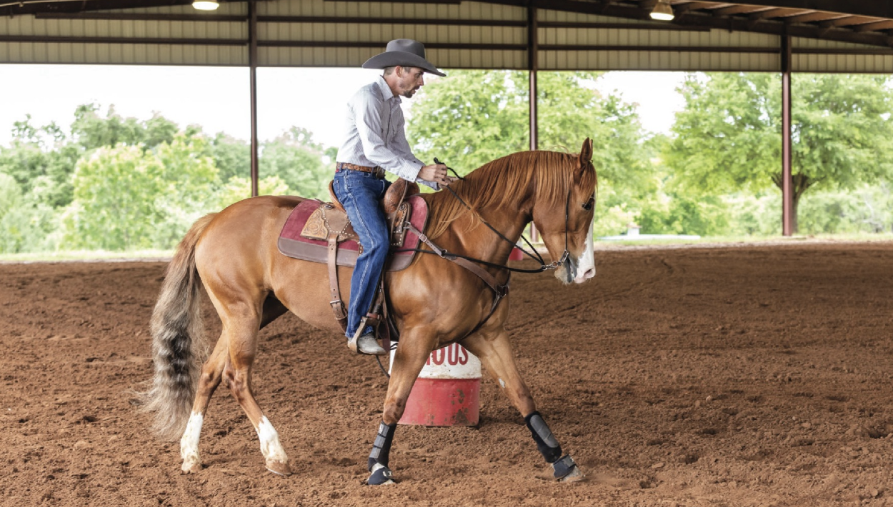 Make sure your horse is calm and collected into your hands