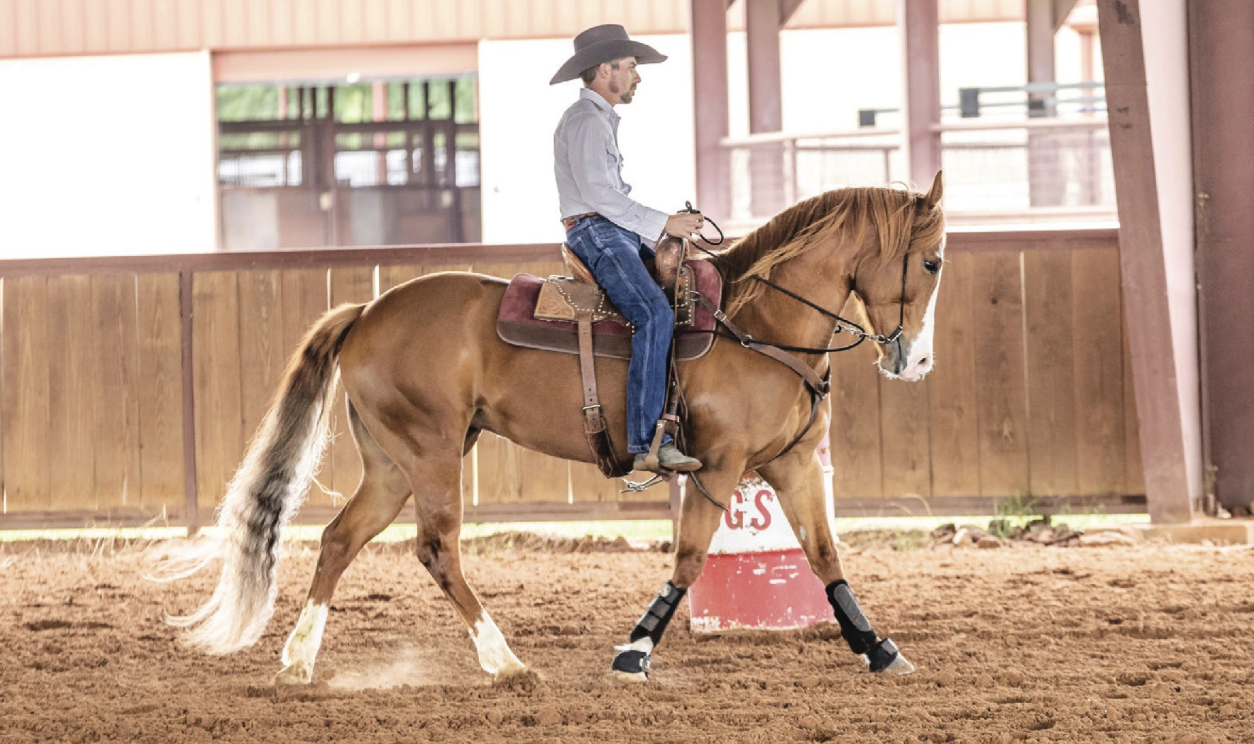 After circling the barrel a few times, continue around the perimeter of the arena at a lope until you get to the next barrel, and repeat the request to melt down into a slower gait around the barrel.