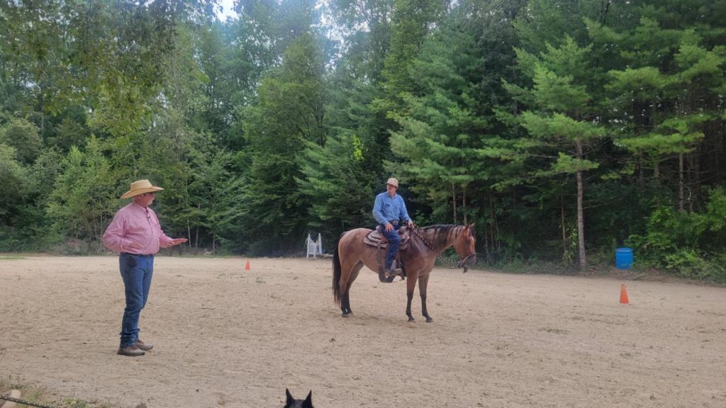 horse and rider at clinic being coached