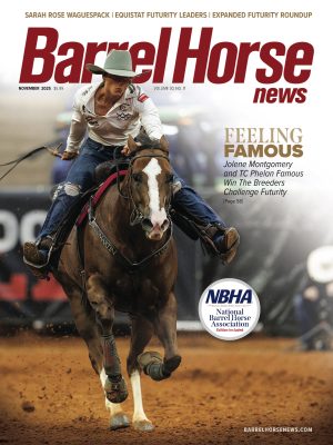 November 2025 cover