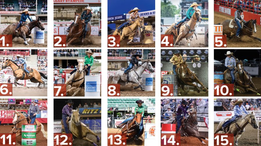 top 15 horses