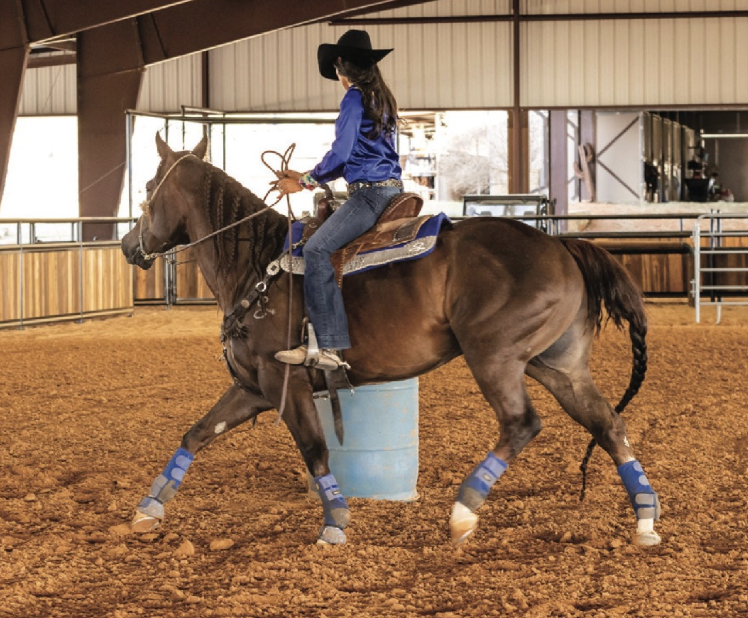 Pick up your horse's inside shoulder, allow your horse to move forward a step or two
