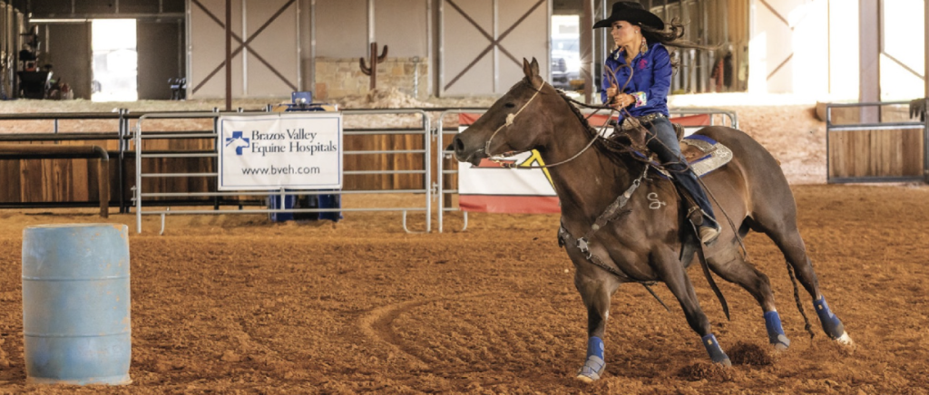 Cole mostly does this drill at the trot, and less frequently at the lope