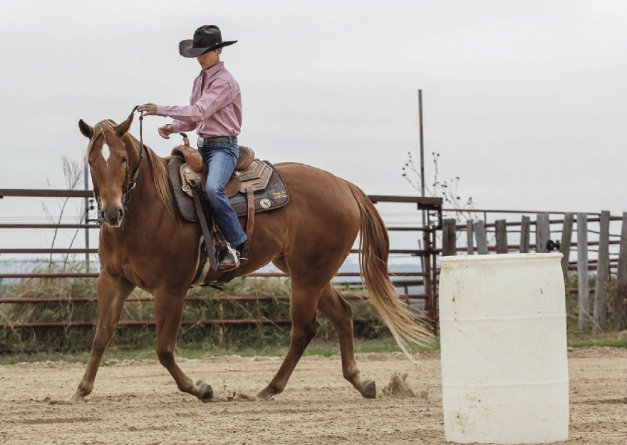 You'll start this drill with definite rein cues,