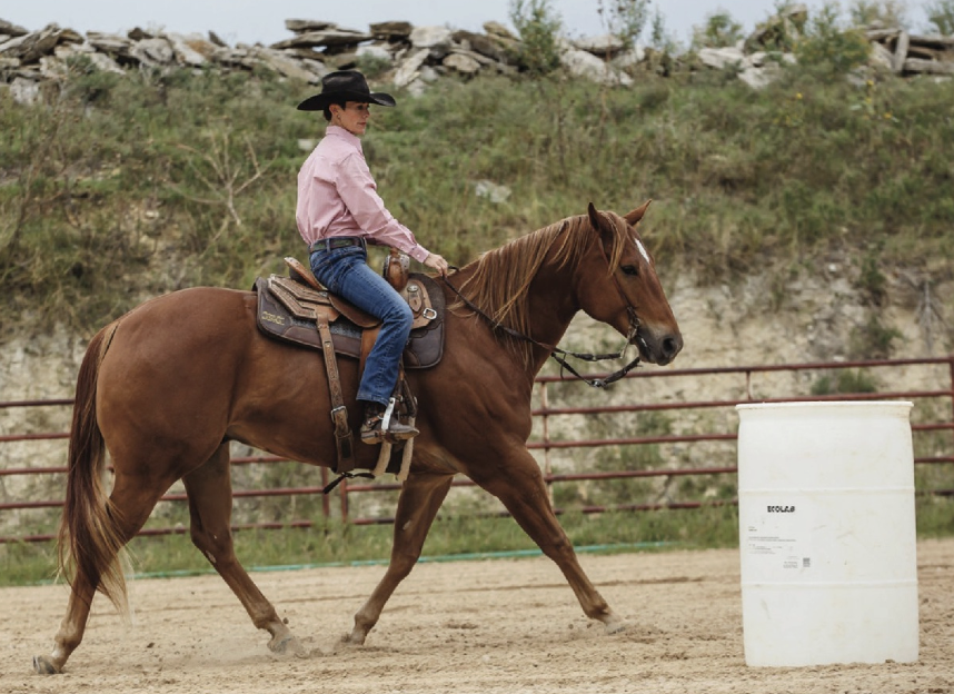 but as you begin to communicate with your horse, the rein cues should diminish.