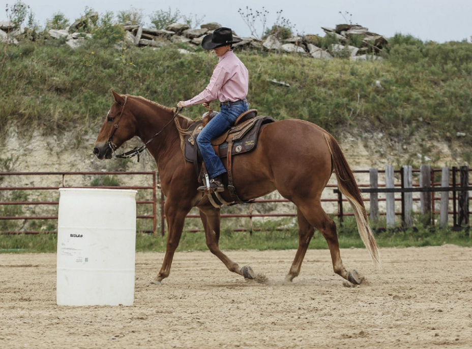 Circle you horse around one barrel a few times, aiming to gain your horses attention with your hands and legs, and gradually reducing your rein cues as you're able. 
