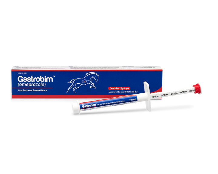 Gastrobim-Set2-LG-720x576.png